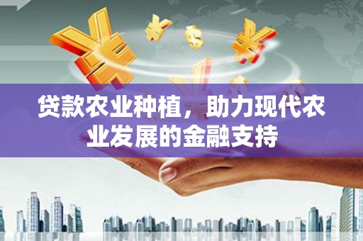 宝清贷款农业种植，助力现代农业发展的金融支持