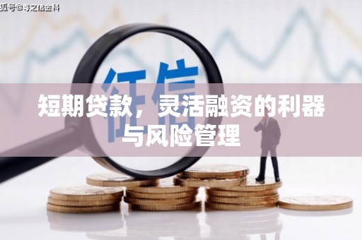 美姑短期贷款，灵活融资的利器与风险管理