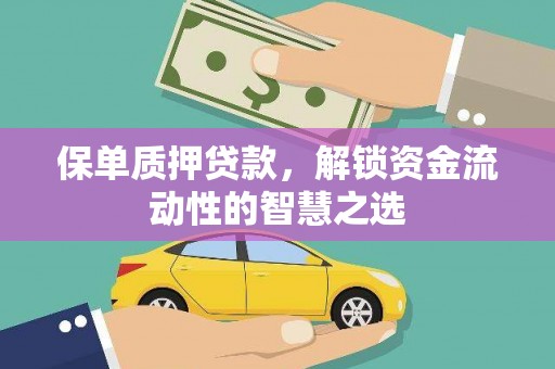 盐埕保单质押贷款，解锁资金流动性的智慧之选