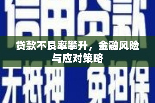 万峦贷款不良率攀升，金融风险与应对策略